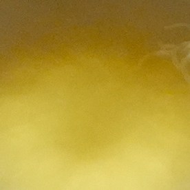 Trump reconoce derrotas en elecciones locales: atribuye revés a su ausencia en la papeleta y al cierre del gobierno