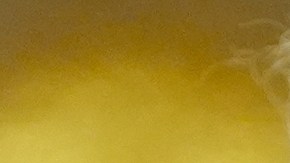 Trump reconoce derrotas en elecciones locales: atribuye revés a su ausencia en la papeleta y al cierre del gobierno