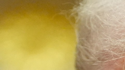 Trump reconoce derrotas en elecciones locales: atribuye revés a su ausencia en la papeleta y al cierre del gobierno