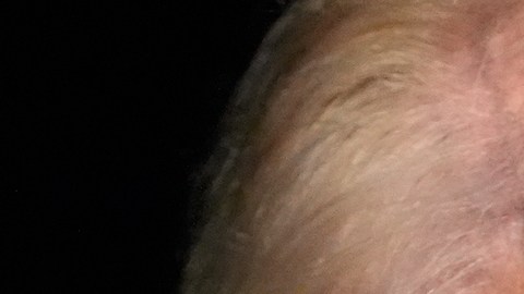 Trump anuncia cuándo entregará cheques de estímulo de $2,000 dólares a estadounidenses