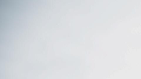 Trump anuncia un encuentro próximo con Lula y critica la detención preventiva de Bolsonaro