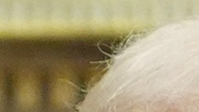 Donald Trump confirma que hablará “algo muy específico” con Maduro pero evita revelarlo