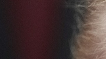 Trump evalúa acciones militares en Venezuela tras reuniones con el Pentágono