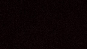 Donna Jean Godchaux hizo coros para artistas como Percy Sledge, Elvis Presley, Cher, Neil Diamond y Boz Scaggs, entre otros.