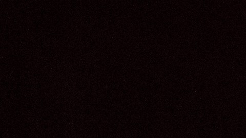 Donna Jean Godchaux hizo coros para artistas como Percy Sledge, Elvis Presley, Cher, Neil Diamond y Boz Scaggs, entre otros.