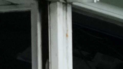 Dua Lipa, en el centro, asiste a un partido de la liga de fútbol argentina entre Boca Juniors y River Plate en Buenos Aires, Argentina, el domingo 9 de noviembre de 2025.