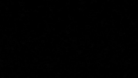 Ahora Google Fotos puede recrear expresiones o detalles sin alterar el contexto de la foto original, ofreciendo resultados más naturales y personalizados.