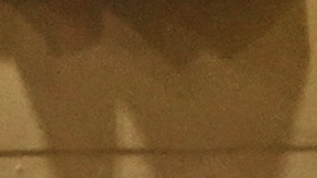 Abuela de 83 años obtiene más de 1,100 votos sin saber que estaba en la boleta electoral en Long Island