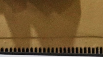 Abuela de 83 años obtiene más de 1,100 votos sin saber que estaba en la boleta electoral en Long Island