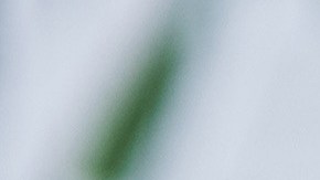 empleos-alta-demanda-50-dolares-por-hora