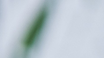 empleos-alta-demanda-50-dolares-por-hora