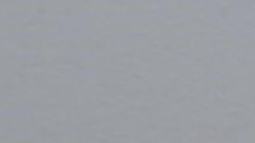 Fotos difundidas por el DHS de John Wilson Bennett (izquierda) y Mark Booth Bennett (derecha), detenidos en Virginia.