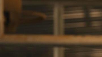 Fotografía divulgada por el jefe de la Patrulla Fronteriza de El Centro en California, Gregory K. Bovino, que fue quien dirigió los operativos migratorios en Los Ángeles y Chicago.