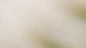 Con dos ingredientes que tiene en casa puedes hacer un ambientador natural.