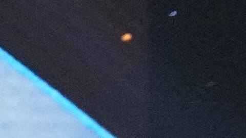 Al acercarse al borde del estrado, Gabrielle perdió la estabilidad y terminó cayendo hacia el área donde se encontraba el público.