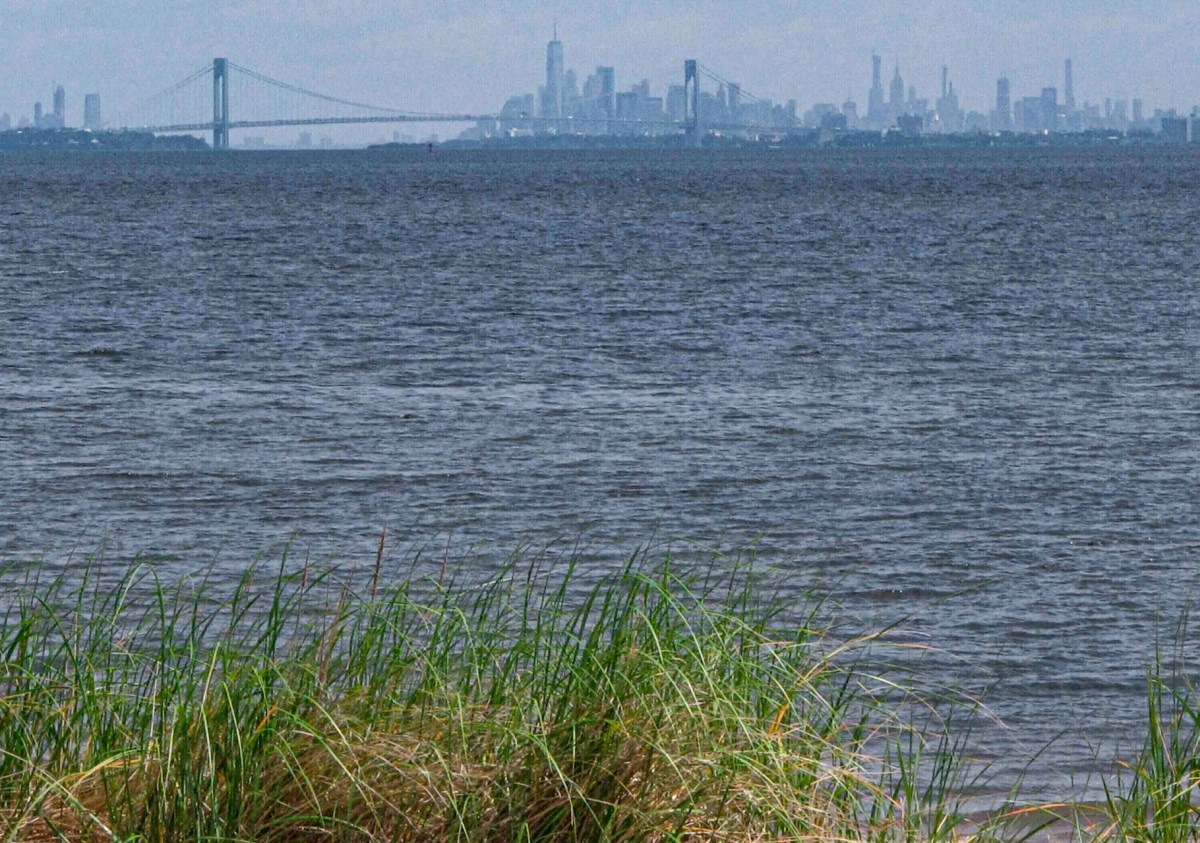 Nueva York aprueba gasoducto submarino impulsado por Trump