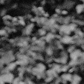 Alice y Ellen Kessler, las famosas gemelas del espectáculo europeo, murieron juntas a los 89 años.