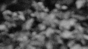 Alice y Ellen Kessler, las famosas gemelas del espectáculo europeo, murieron juntas a los 89 años.