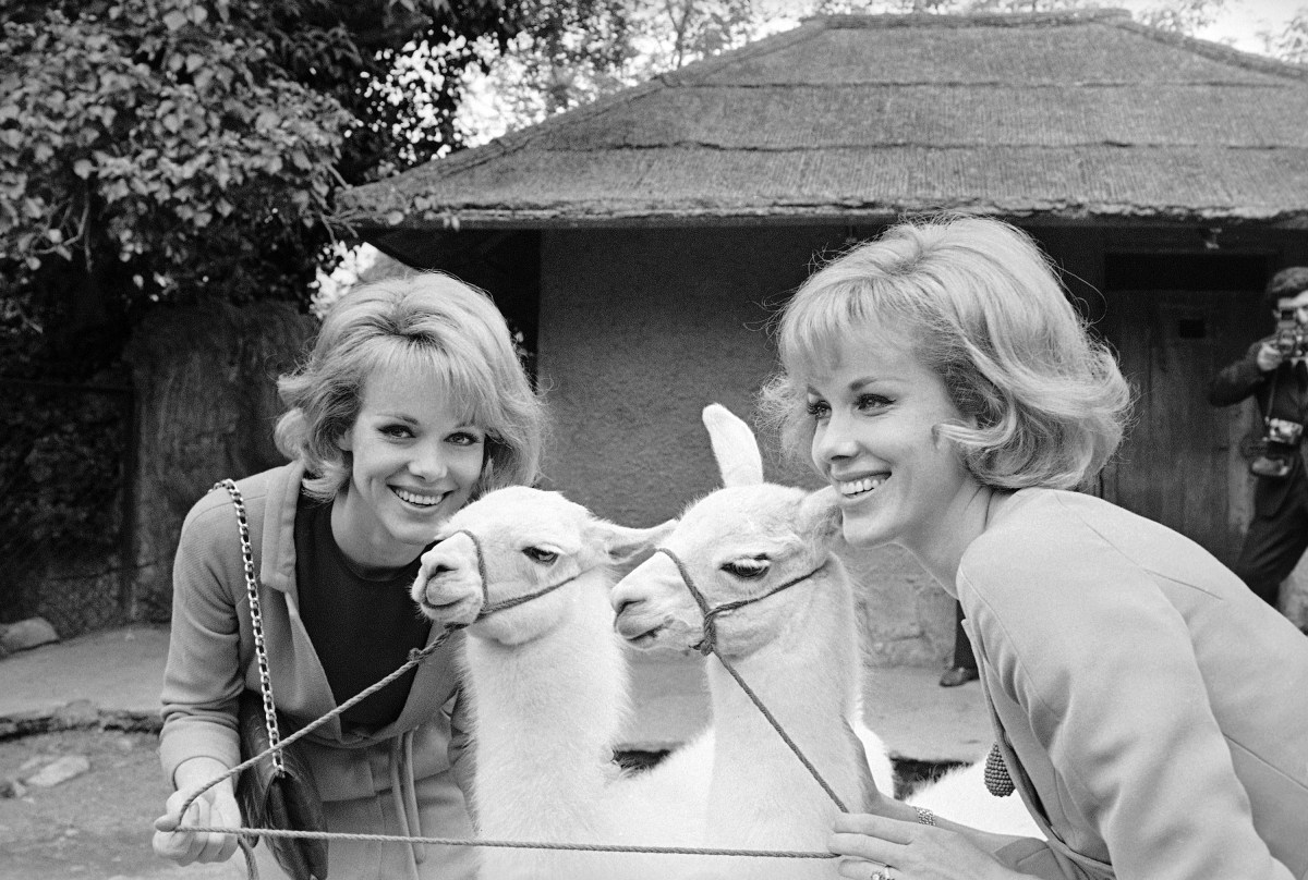 Mueren las gemelas Alice y Ellen Kessler a los 89 años por suicidio asistido