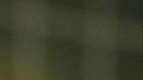 Greg Abbott amenaza con imponer arancel del 100% a neoyorquinos que se muden a Texas tras elecciones