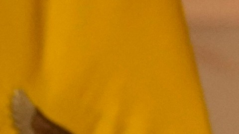 Gustavo Petro dice que no apoya a Maduro, pero tampoco que EE.UU. "invada" Venezuela