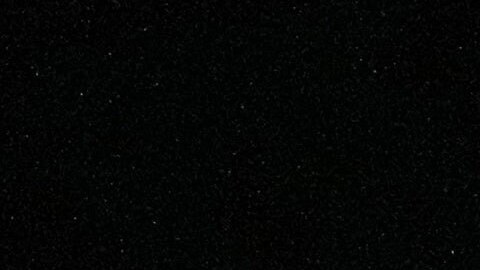 Aficionados celebran la clasificación de Haití para la Copa Mundial de la FIFA 2026.