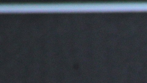 Compañeros del medio artístico, amigos cercanos y miles de seguidores le enviaron mensajes de apoyo.