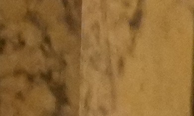 El Museo Grevin dio a conocer este jueves la figura de Lady Di.