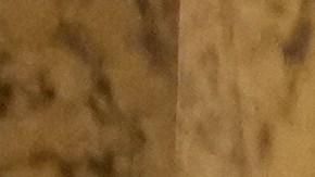 El Museo Grevin dio a conocer este jueves la figura de Lady Di.