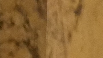 El Museo Grevin dio a conocer este jueves la figura de Lady Di.