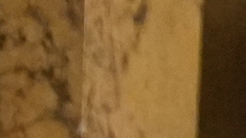 El Museo Grevin dio a conocer este jueves la figura de Lady Di.