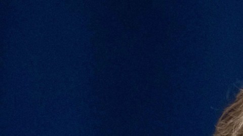 Fotografías del subsecretario de Estado de Estados Unidos, Christopher Landau, y del presidente de Colombia, Gustavo Petro.