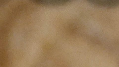 El papa León XIV recibe jersey de New York Knicks.