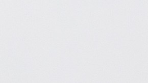 Coloca las cáscaras de limón y el perejil en la licuadora, mezcla durante uno o dos minutos y luego cuela el líquido.