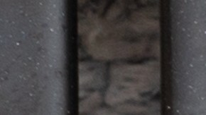 Con pastillas lavavajillas puedes dejar tu horno relucientes.