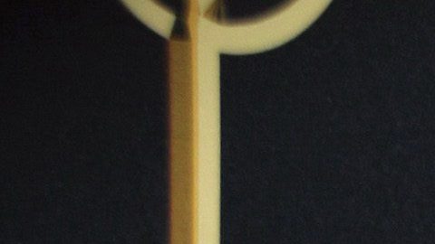 Ante la viralización del rumor, la propia Lyn May utilizó su cuenta de Instagram para desmentir la noticia.