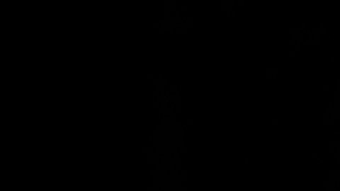 Congresista republicana afirma que Maduro teme que el régimen cubano lo asesine si abandona el poder en Venezuela