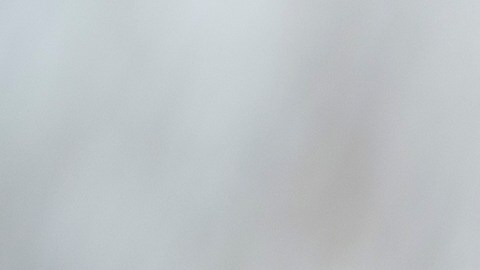 Los melocotones fueron distribuidos a nivel nacional.