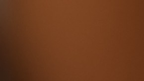 Para sacarle mayor provecho, lo ideal es que el pendrive esté libre de virus y que su capacidad de almacenamiento sea amplia.