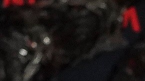 Daily Mail publicó un artículo asegurando que Brown había presentado una queja formal contra Harbour por supuesto acoso e intimidación.