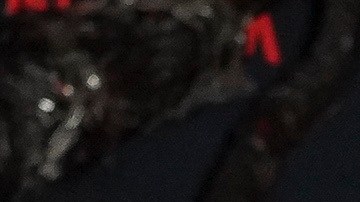 Daily Mail publicó un artículo asegurando que Brown había presentado una queja formal contra Harbour por supuesto acoso e intimidación.