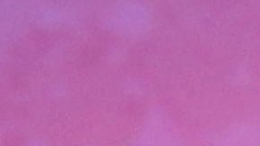 El momento entre ambos se volvió viral de inmediato en redes sociales.