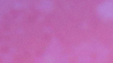 El momento entre ambos se volvió viral de inmediato en redes sociales.