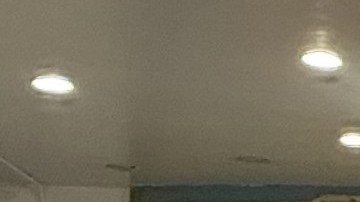 Artesanías, pinturas, libros y otras piezas fueron muestras del amor profundo por la cultura puertorriqueña.