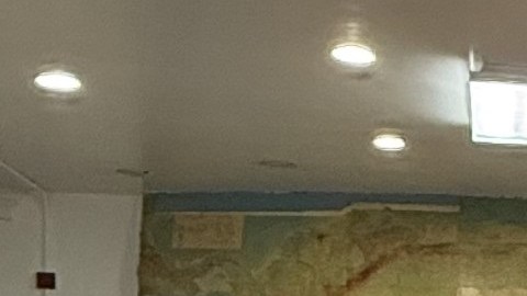 Artesanías, pinturas, libros y otras piezas fueron muestras del amor profundo por la cultura puertorriqueña.