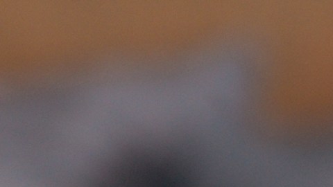 pago-seguro-social-conyuge