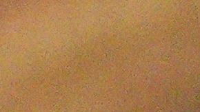 Los fanáticos del Palmeiras animan antes del partido.