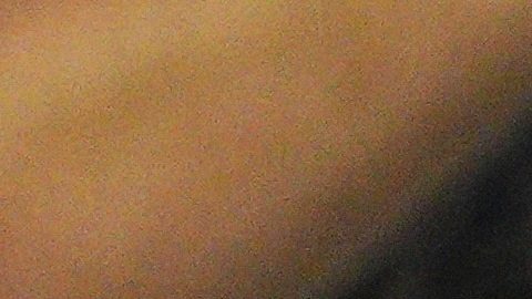 Los fanáticos del Palmeiras animan antes del partido.