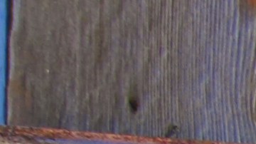 placas-coleccionistas-valor