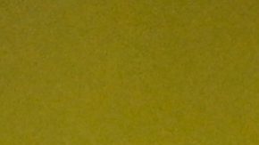 Paul Pogba, del Mónaco, en eñ partido inaugural de la fase de grupos de la Liga de Campeones entre el Mónaco y el Tottenham Hotspur el miércoles 22 de octubre de 2025.